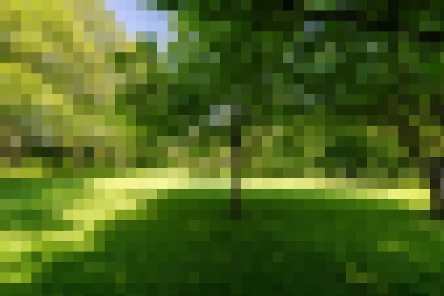 Meeuwensedijk 5 Meeuwen thumbnail 51