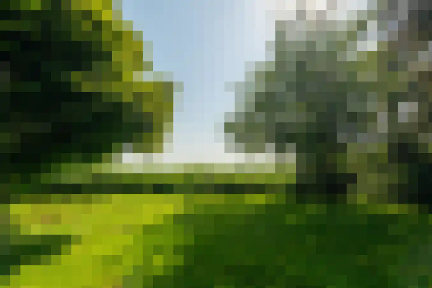 Meeuwensedijk 5 Meeuwen thumbnail 52