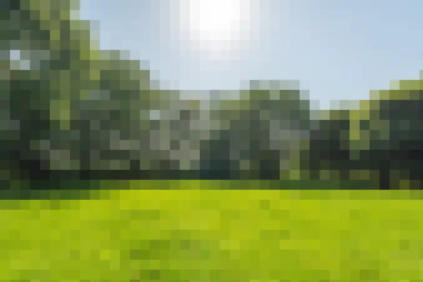Meeuwensedijk 5 Meeuwen thumbnail 53