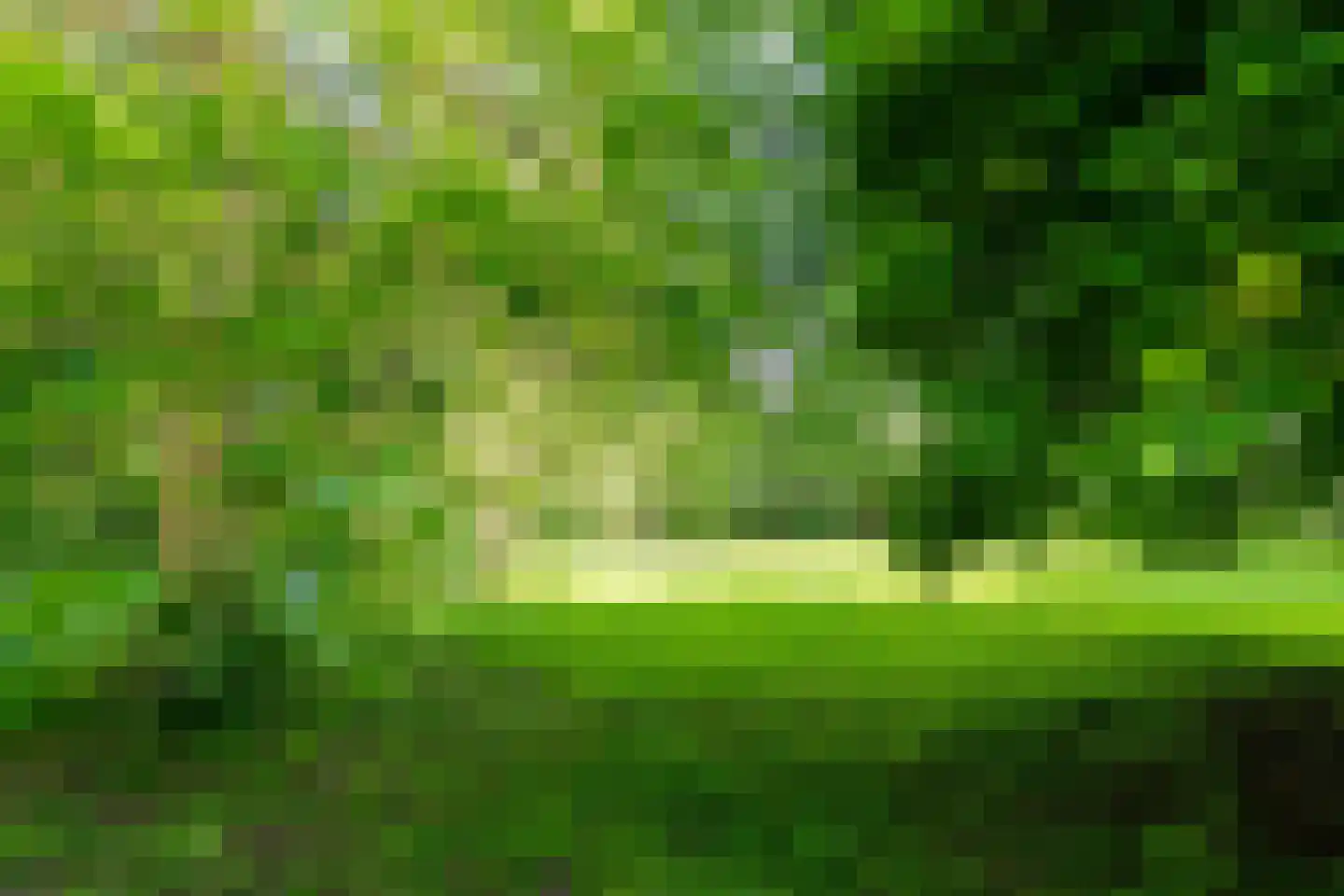 Meeuwensedijk 5 Meeuwen thumbnail 54