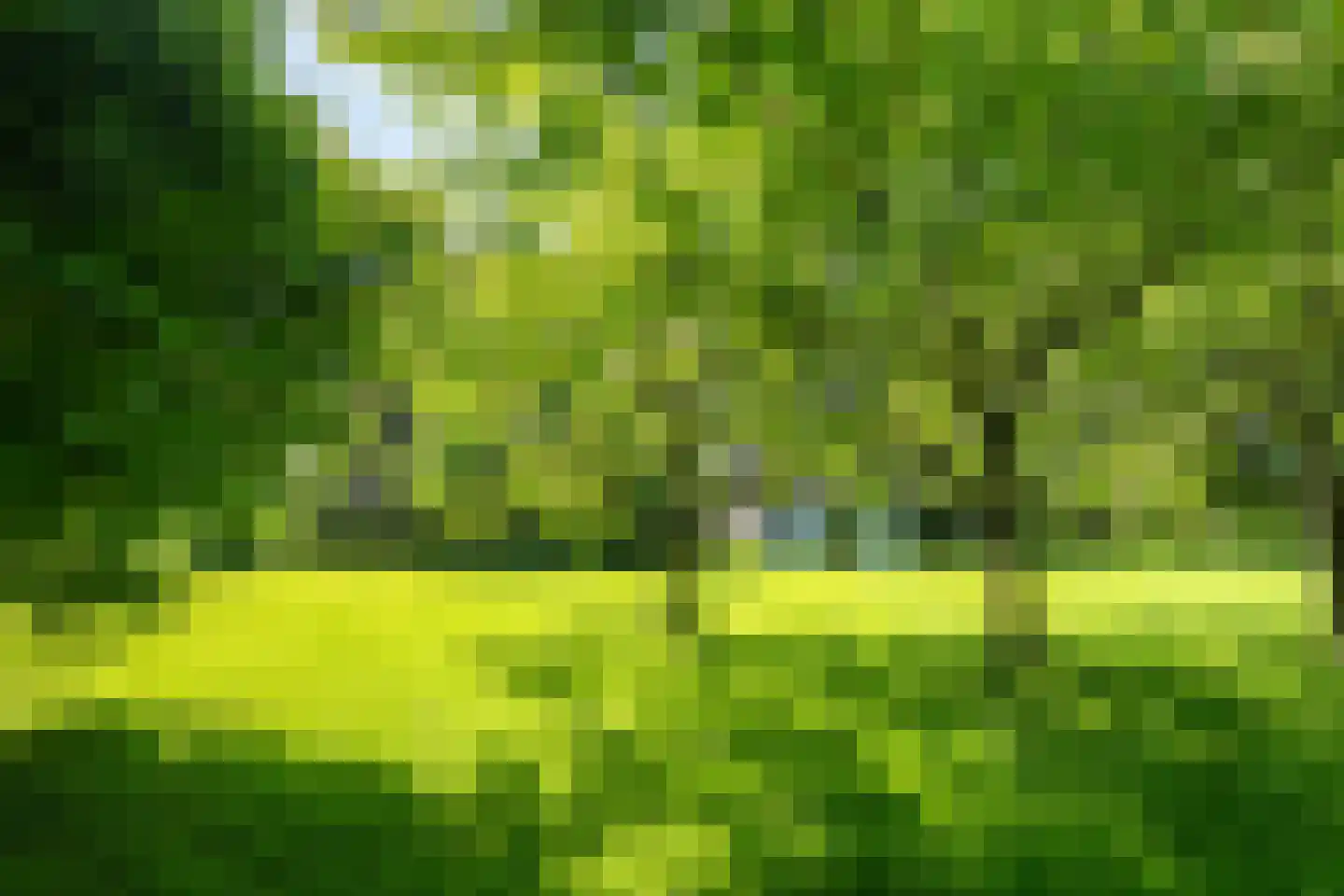Meeuwensedijk 5 Meeuwen thumbnail 55