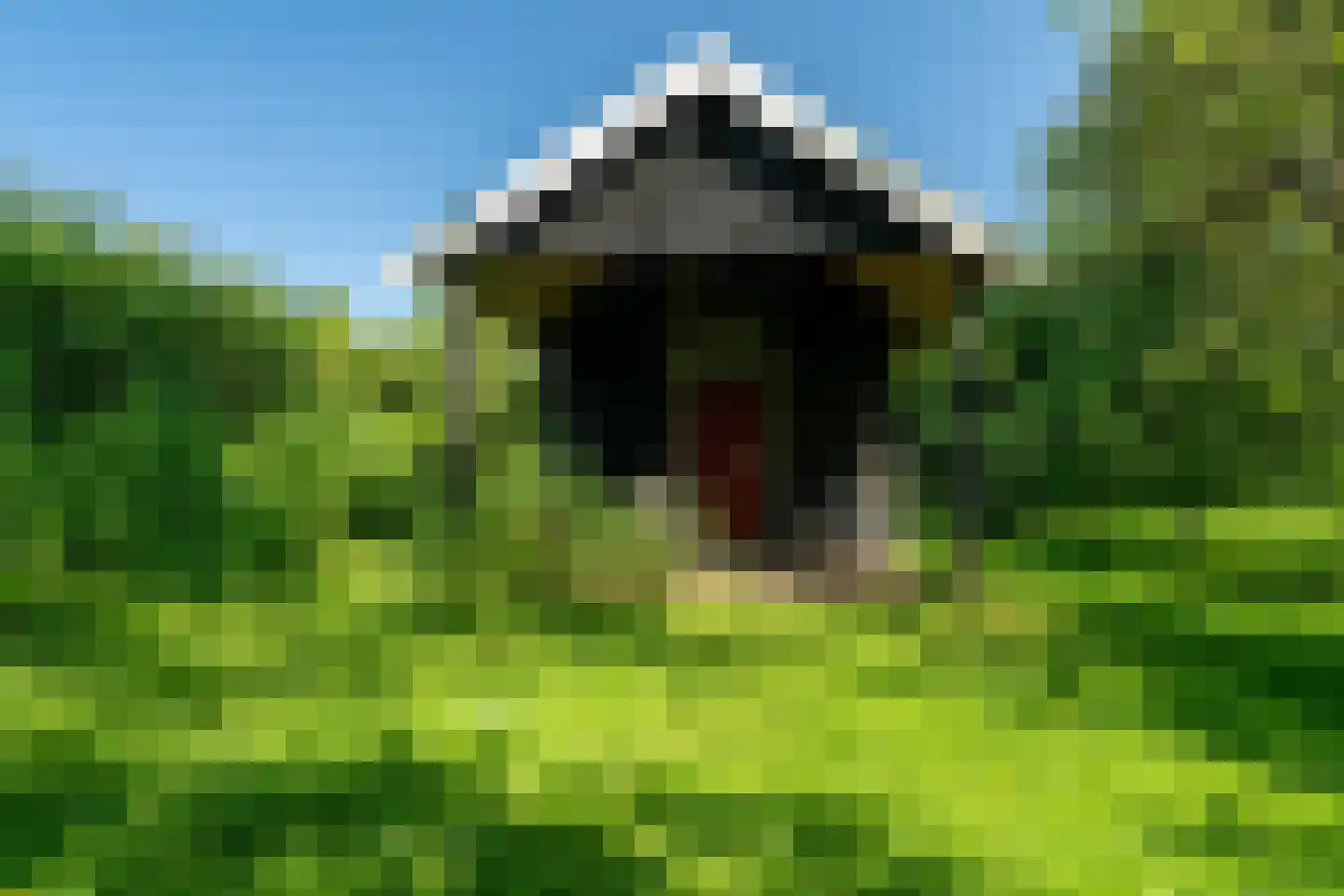 Meeuwensedijk 5 Meeuwen thumbnail 56
