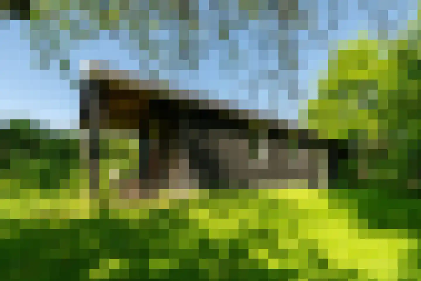 Meeuwensedijk 5 Meeuwen thumbnail 57
