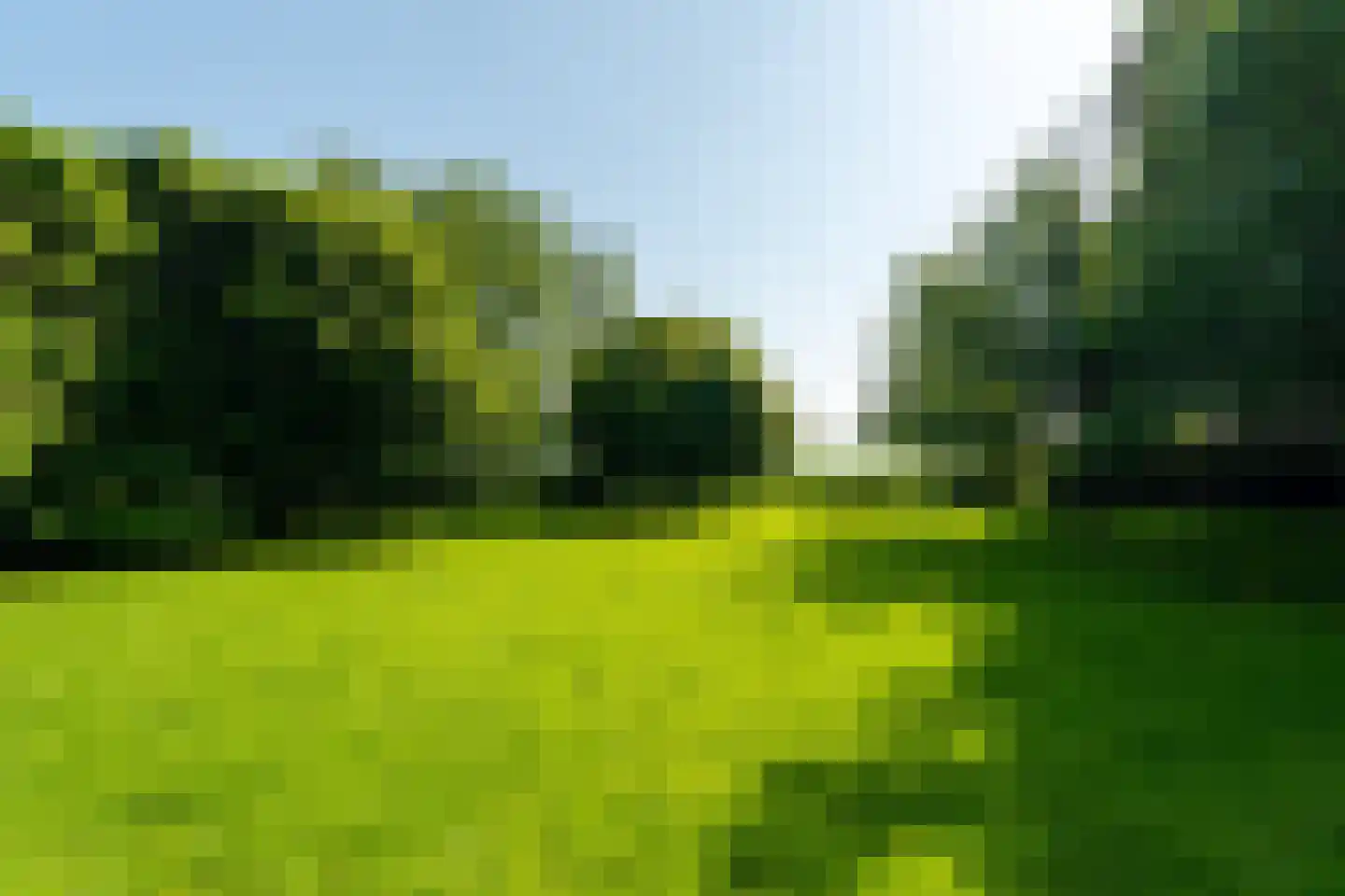 Meeuwensedijk 5 Meeuwen thumbnail 58