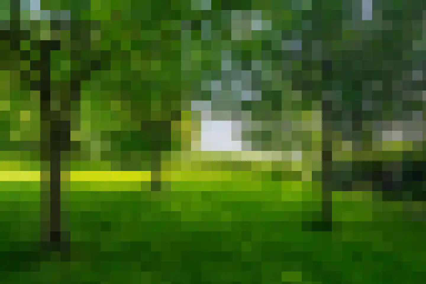 Meeuwensedijk 5 Meeuwen thumbnail 59