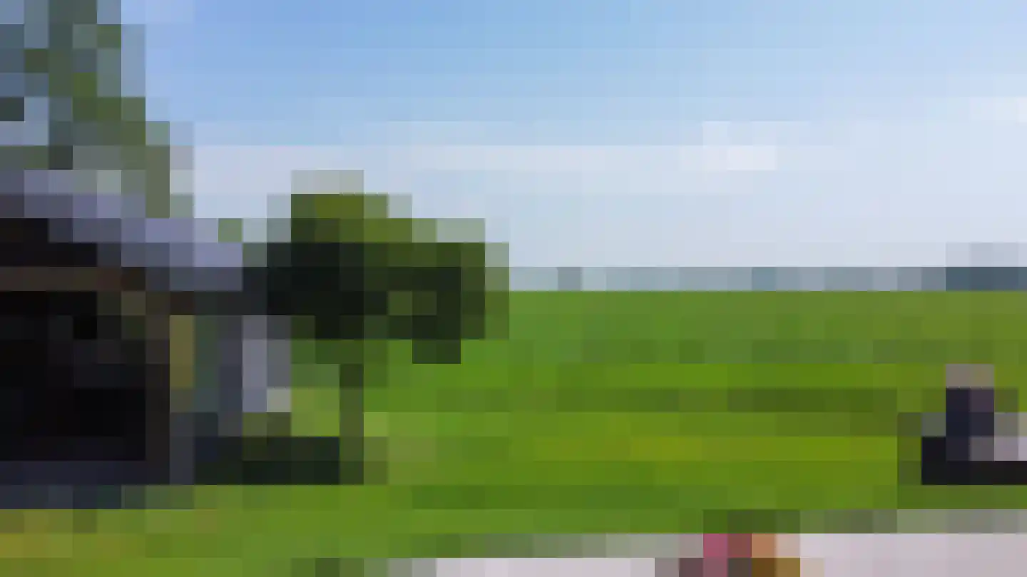 Meeuwensedijk 5 Meeuwen thumbnail 60