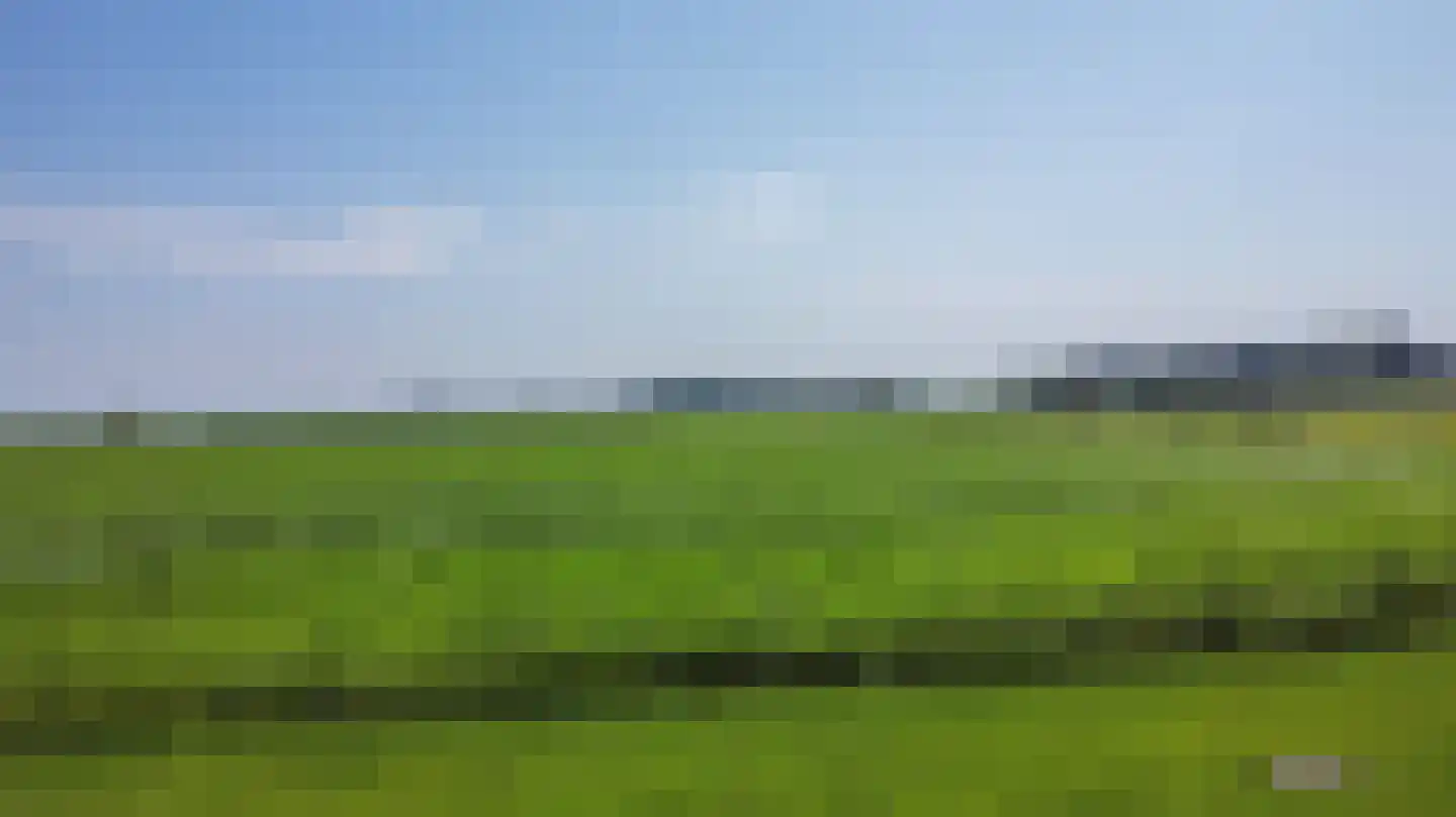 Meeuwensedijk 5 Meeuwen thumbnail 61