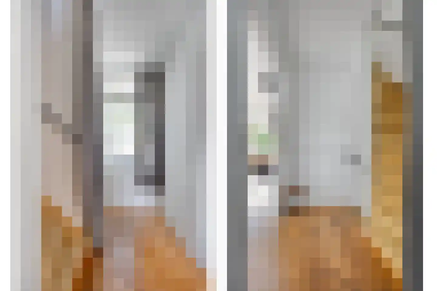 Meeuwensingel 3 Schiedam thumbnail 23