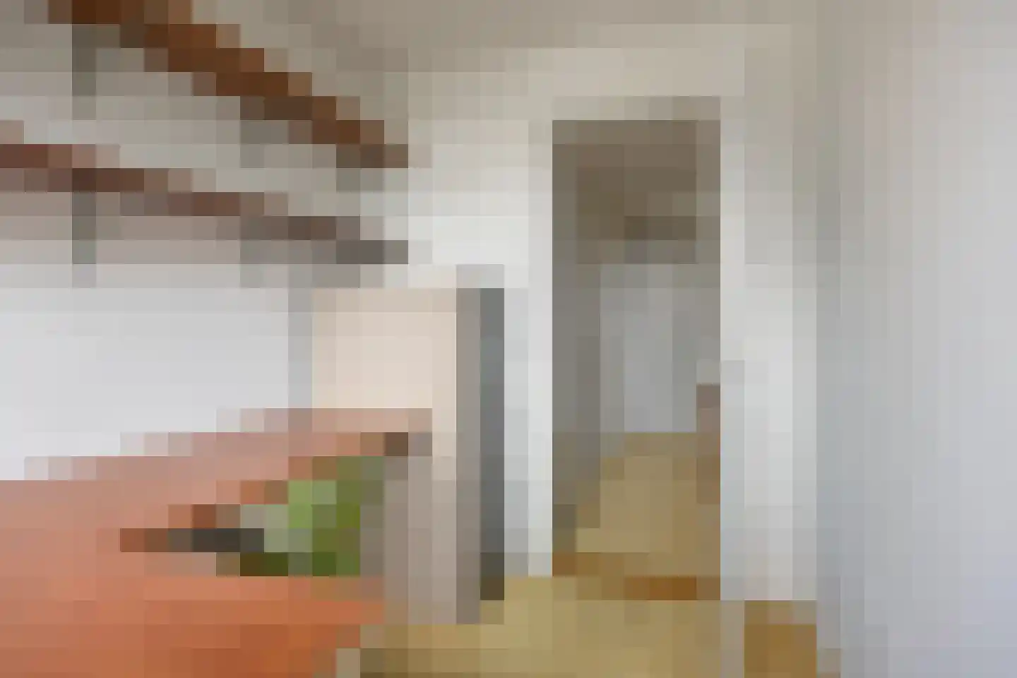 Meeuwensingel 3 Schiedam thumbnail 34