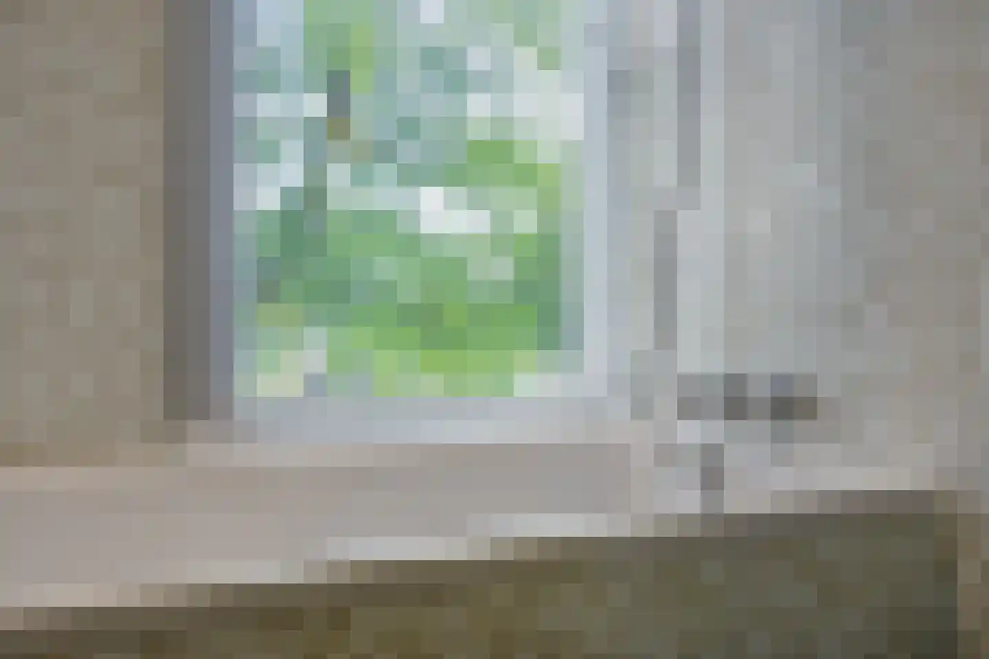 Meeuwensingel 3 Schiedam thumbnail 38