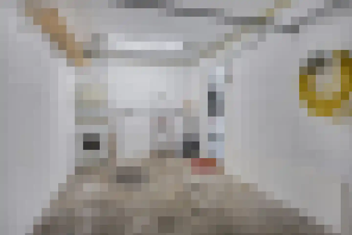 Meeuwensingel 3 Schiedam thumbnail 43