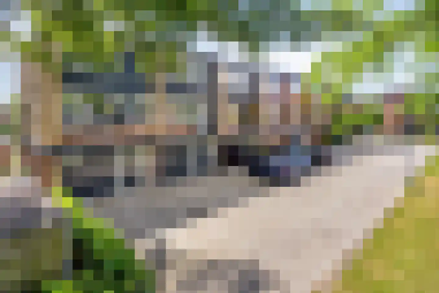 Meeuwensingel 3 Schiedam thumbnail 46