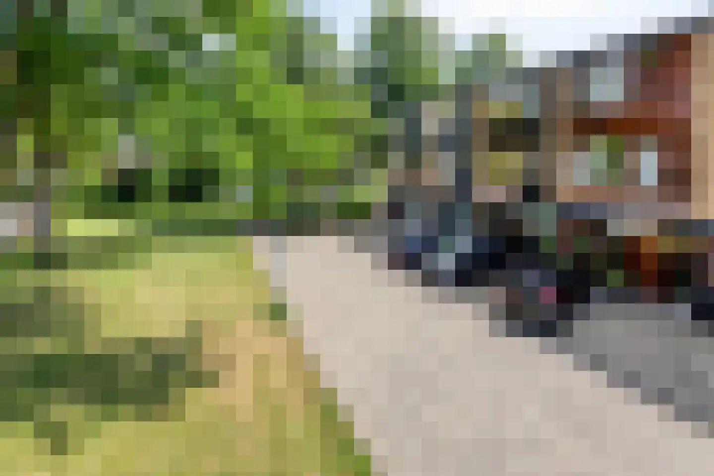 Meeuwensingel 3 Schiedam thumbnail 48
