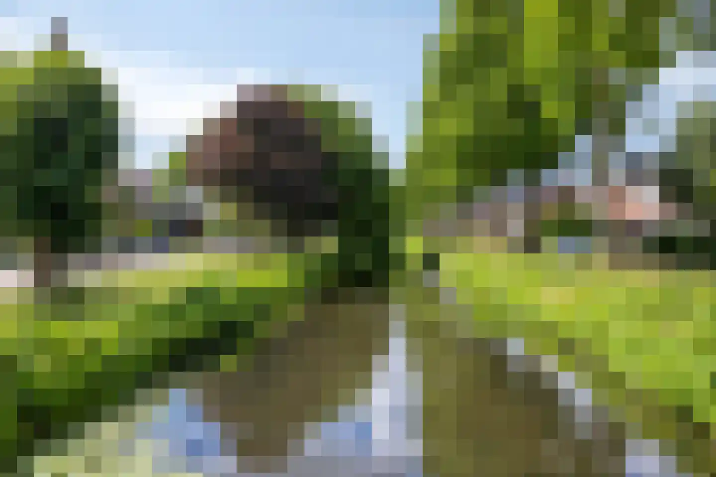 Meeuwensingel 3 Schiedam thumbnail 54