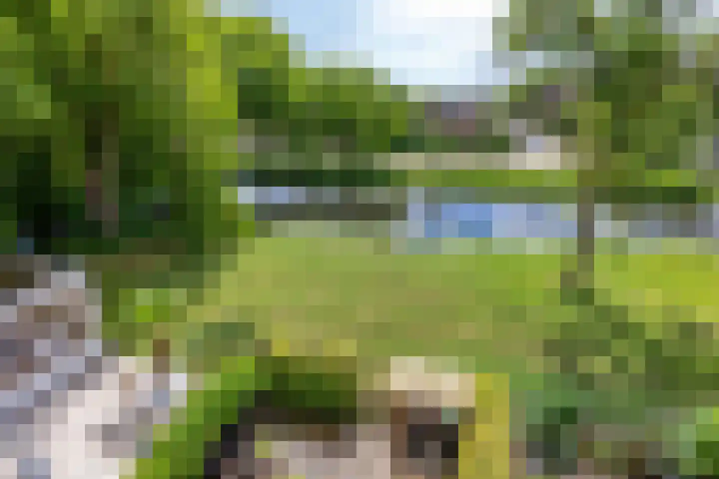 Meeuwensingel 3 Schiedam thumbnail 9