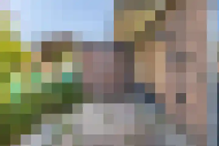 Meeuwensingel 88 Schiedam thumbnail 15