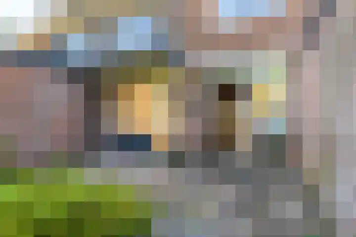 Meeuwensingel 88 Schiedam thumbnail 16