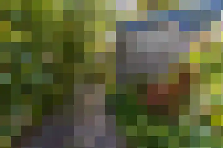 Meeuwensingel 88 Schiedam thumbnail 17