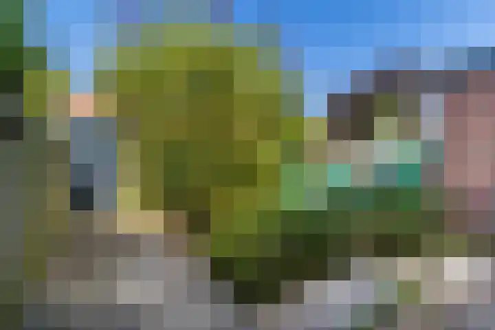 Meeuwensingel 88 Schiedam thumbnail 18