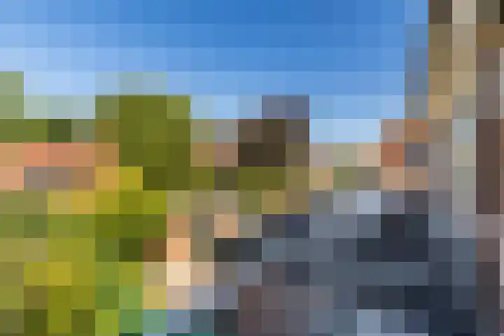 Meeuwensingel 88 Schiedam thumbnail 24
