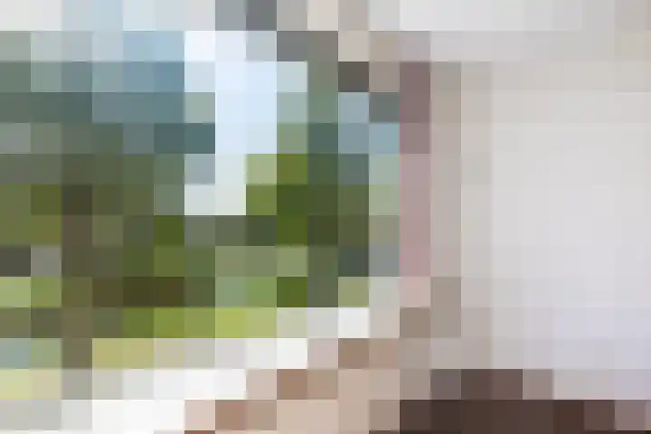 Meeuwensingel 88 Schiedam thumbnail 30