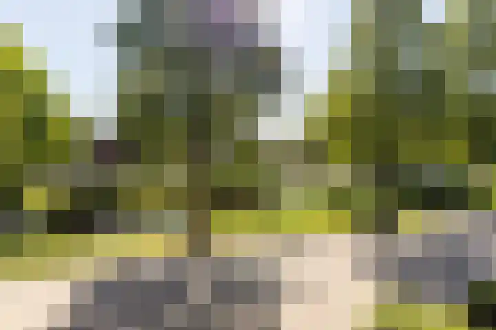 Meeuwensingel 88 Schiedam thumbnail 31
