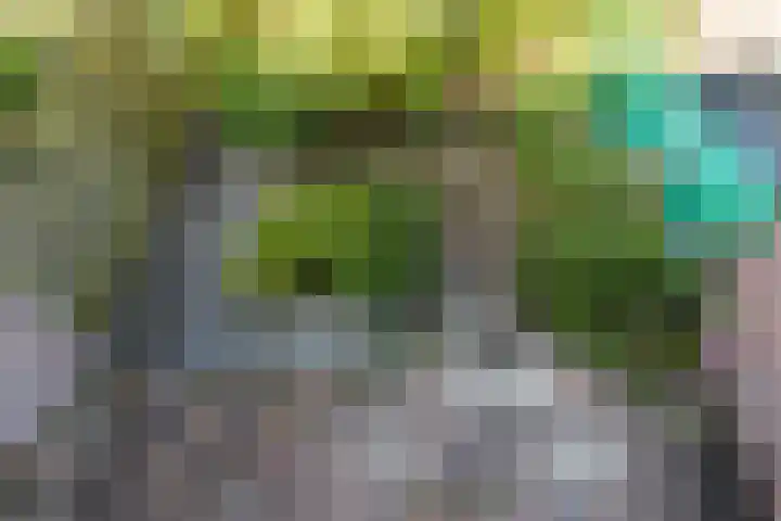 Meeuwensingel 88 Schiedam thumbnail 34