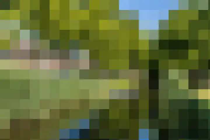 Meeuwensingel 88 Schiedam thumbnail 35