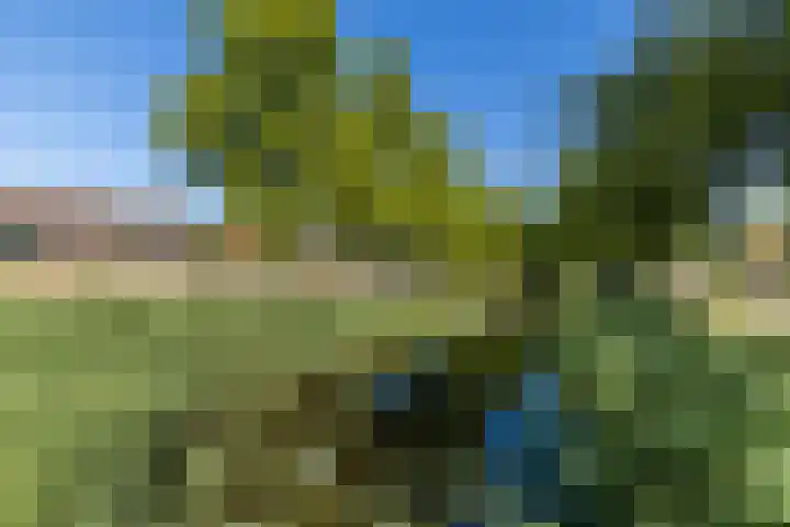 Meeuwensingel 88 Schiedam thumbnail 36