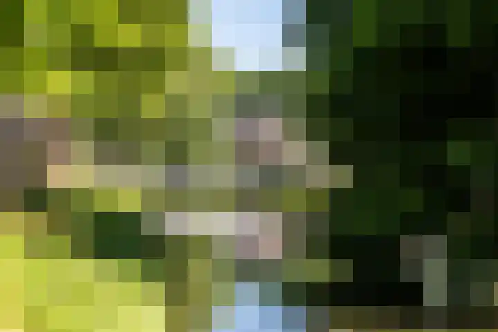 Meeuwensingel 88 Schiedam thumbnail 37