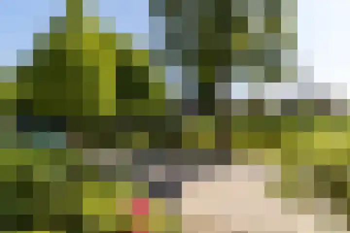 Meeuwensingel 88 Schiedam thumbnail 38