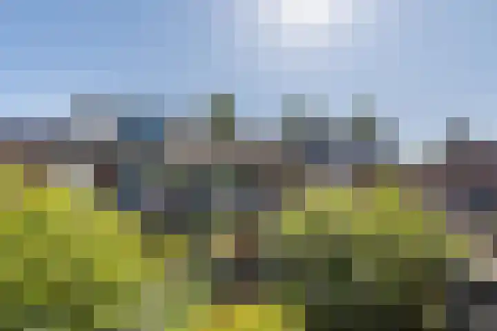 Meeuwensingel 88 Schiedam thumbnail 41