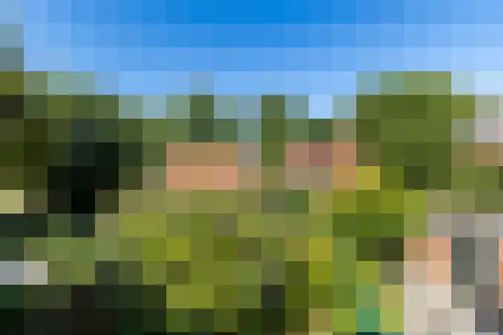Meeuwensingel 88 Schiedam thumbnail 42