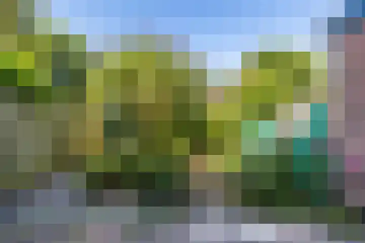 Meeuwensingel 88 Schiedam thumbnail 5