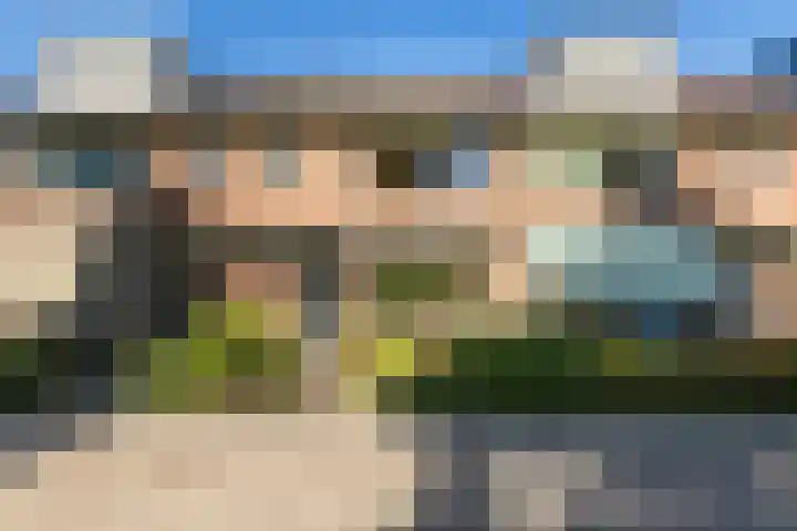 Meeuwensingel 88 Schiedam thumbnail 51
