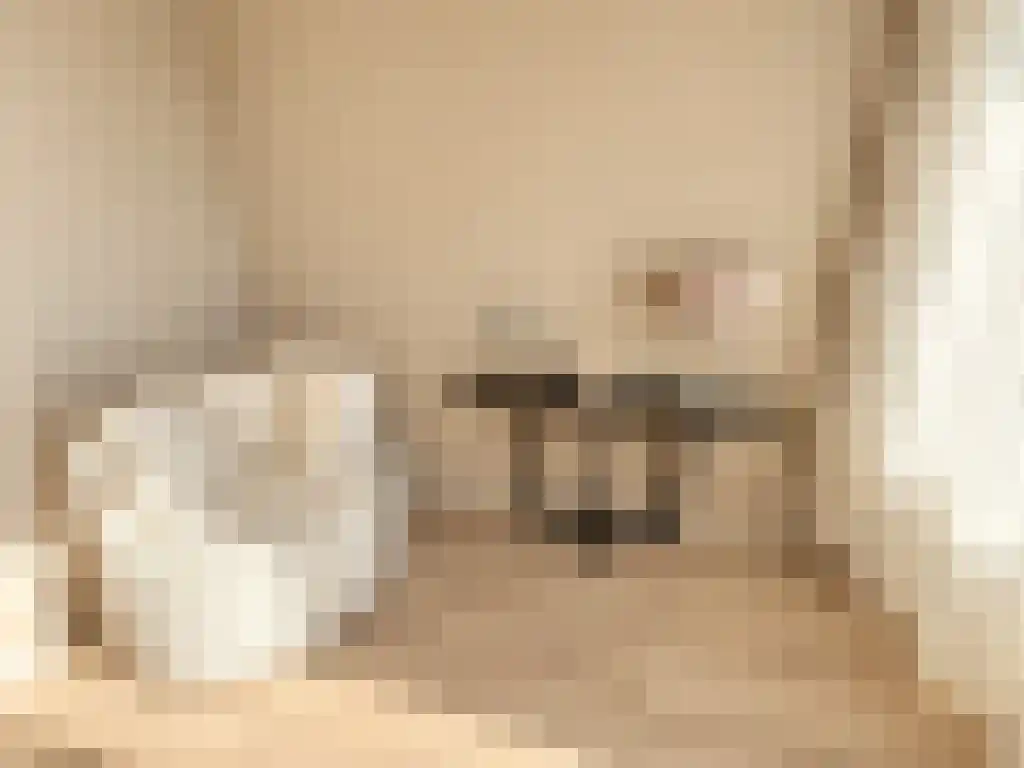 Meeuwenstraat 10 Rotterdam thumbnail 4
