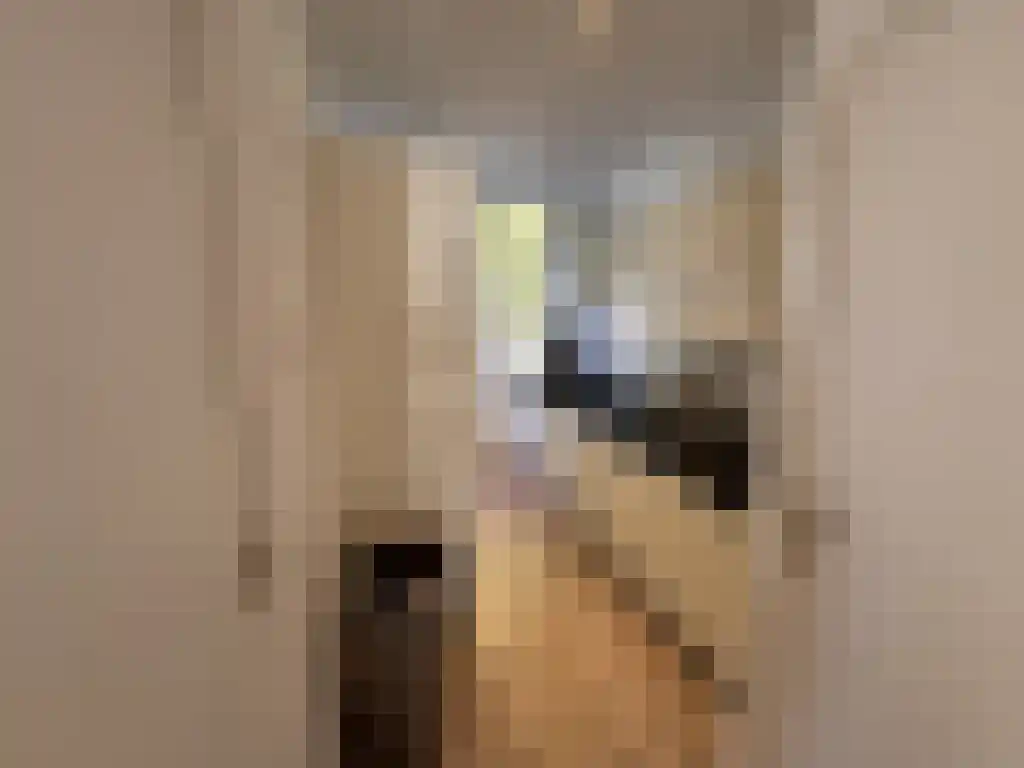 Meeuwenstraat 10 Rotterdam thumbnail 6