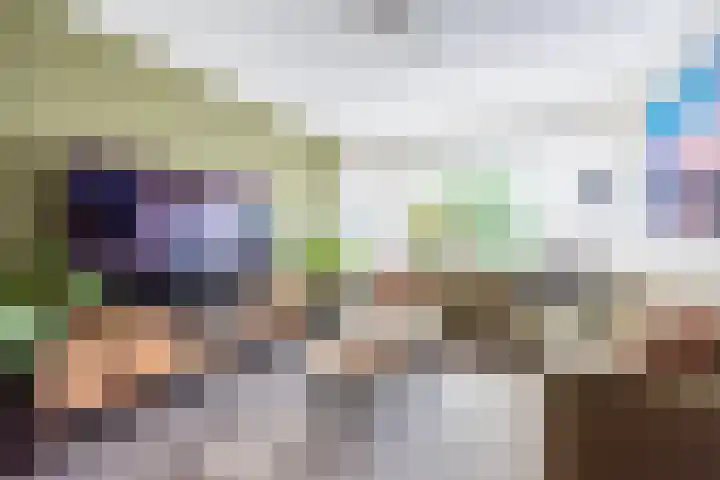 Meeuwenstraat 10 Ulft thumbnail 12