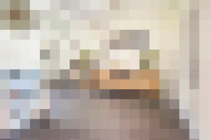 Meeuwenstraat 10 Ulft thumbnail 14