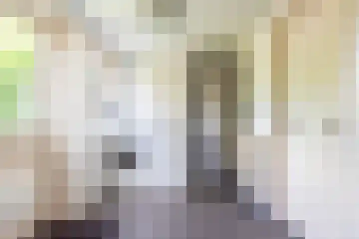 Meeuwenstraat 10 Ulft thumbnail 17