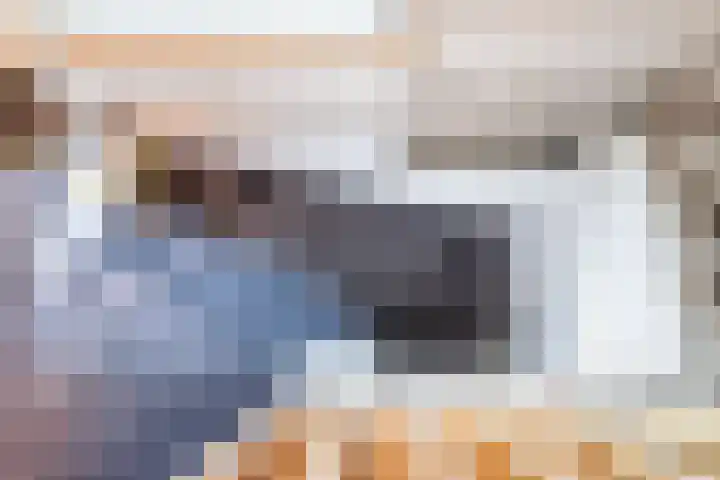 Meeuwenstraat 10 Ulft thumbnail 33
