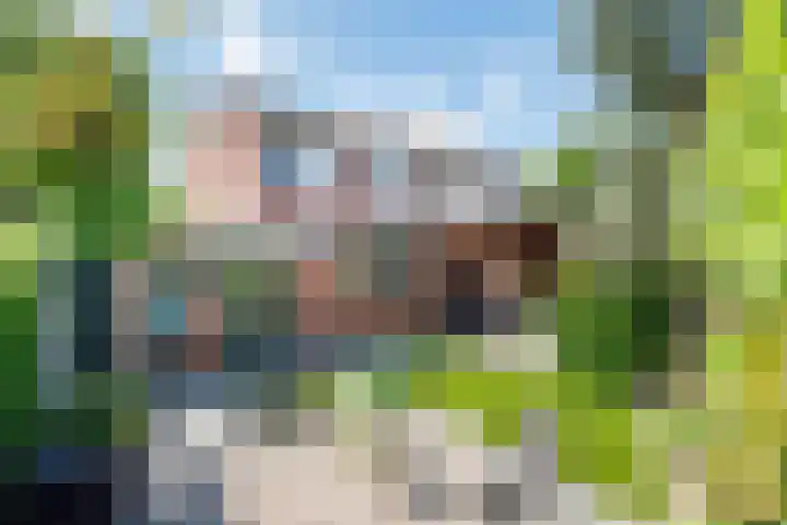 Meeuwenstraat 10 Ulft thumbnail 4