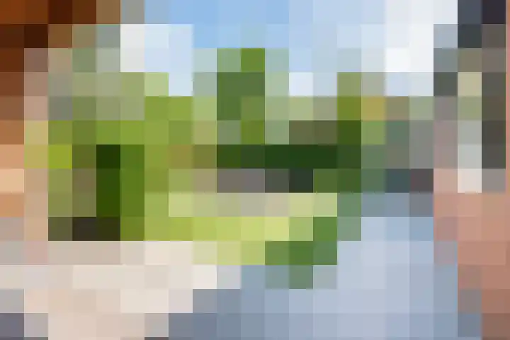 Meeuwenstraat 10 Ulft thumbnail 42