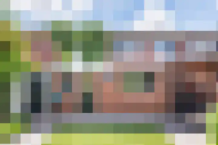 Meeuwenstraat 10 Ulft thumbnail 43