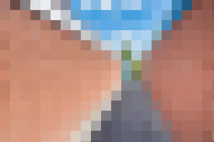Meeuwenstraat 10 Ulft thumbnail 44