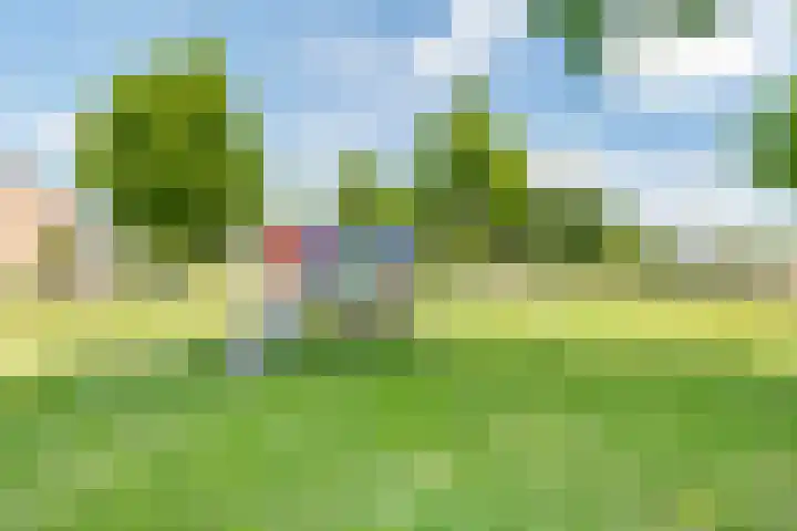 Meeuwenstraat 10 Ulft thumbnail 46