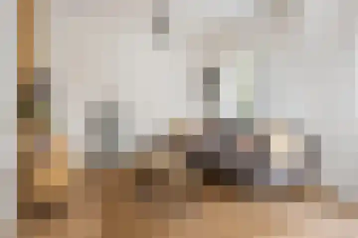 Meeuwenstraat 12 Foxhol thumbnail 11