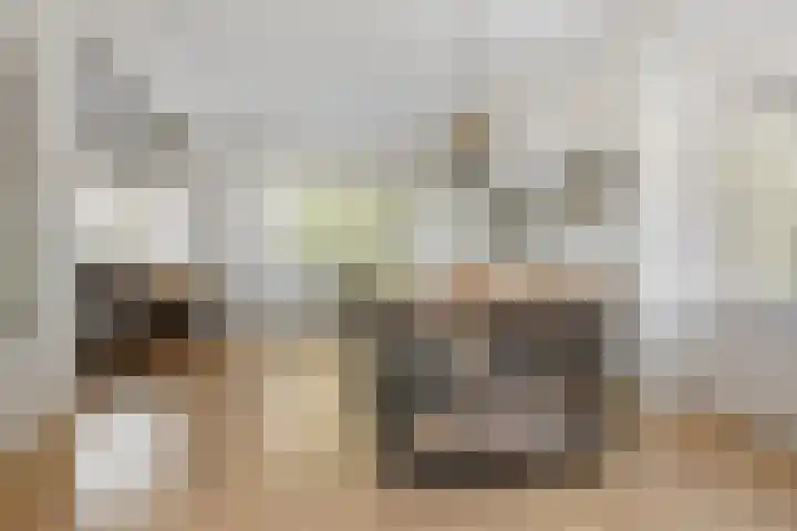 Meeuwenstraat 12 Foxhol thumbnail 13