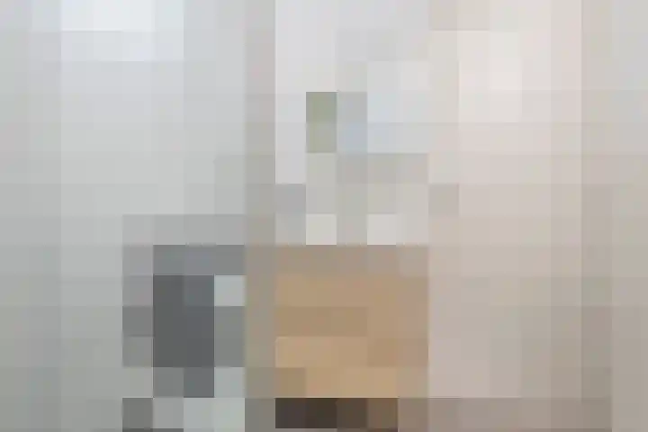 Meeuwenstraat 12 Foxhol thumbnail 18