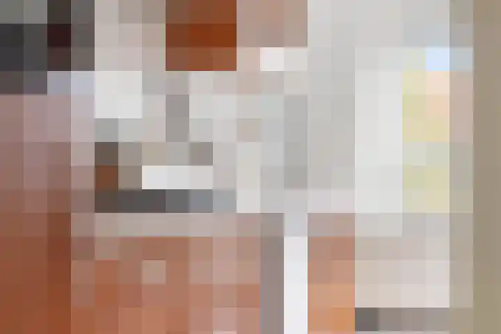 Meeuwenstraat 12 Foxhol thumbnail 23